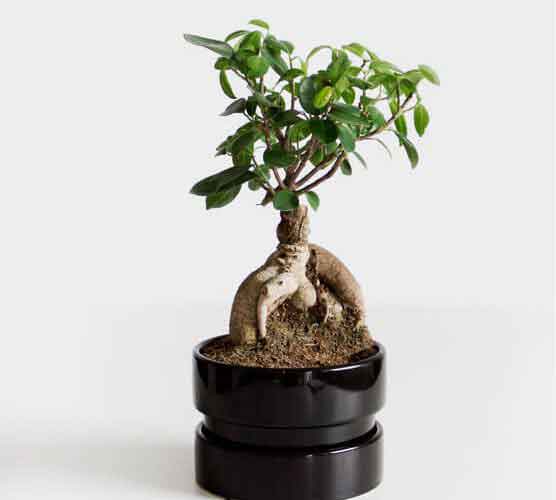 无限拨打电话软件