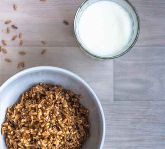 【MAC版】适配的云呼死你网页版